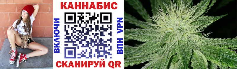 Каннабис OG Kush Светлоград